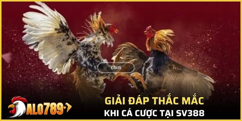 Giải đáp thắc mắc khi truy cập nhà cái SV388