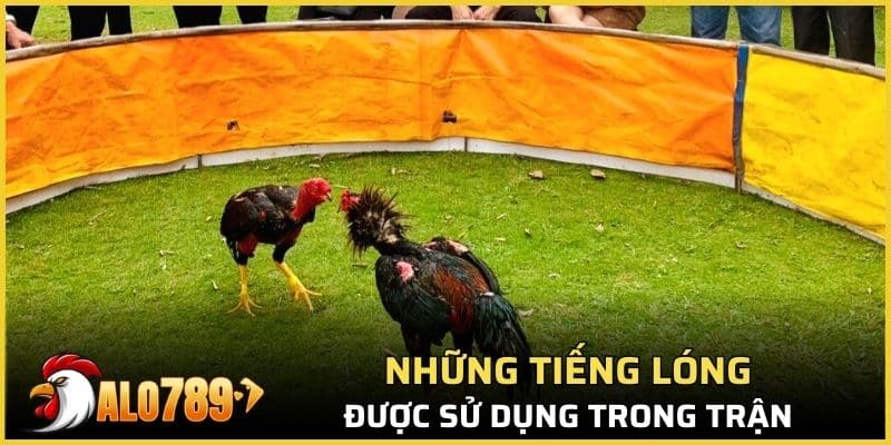 Những từ lóng được sử dụng nhiều khi thi đấu đá gà